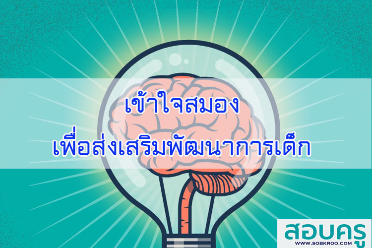 เข้าใจสมองเพื่อส่งเสริมพัฒนาการเด็ก
