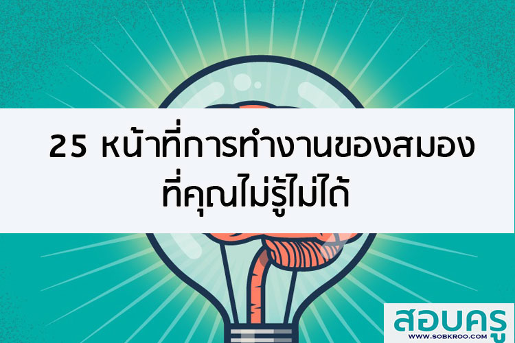 25 หน้าที่การทำงานของสมองที่คุณไม่รู้ไม่ได้
