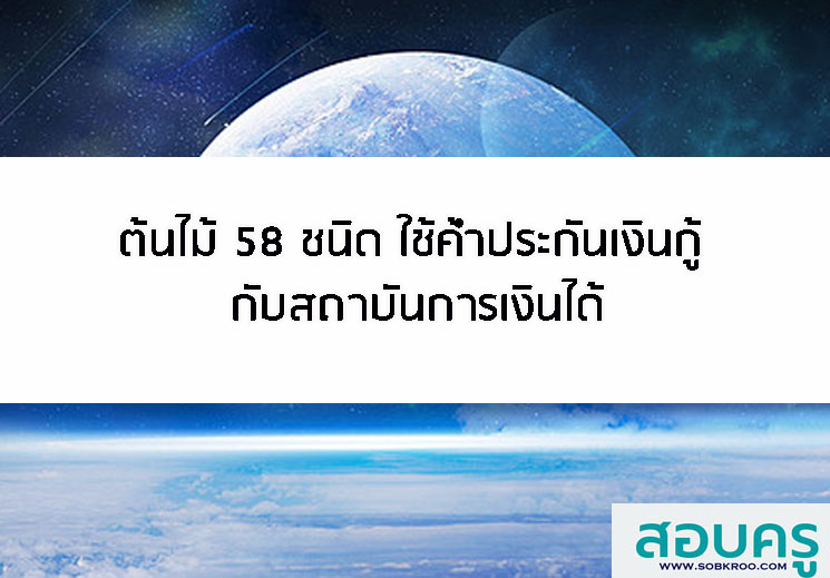 T012_ต้นไม้ 58 ชนิด ใช้ค้ำประกันเงินกู้ กับสถาบันการเงินได้