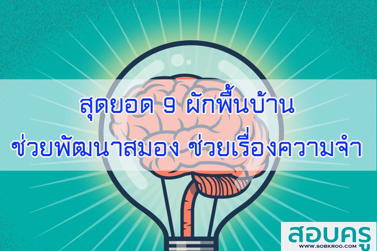 สุดยอด 9 ผักพื้นบ้าน ช่วยพัฒนาสมอง ช่วยเรื่องความจำ