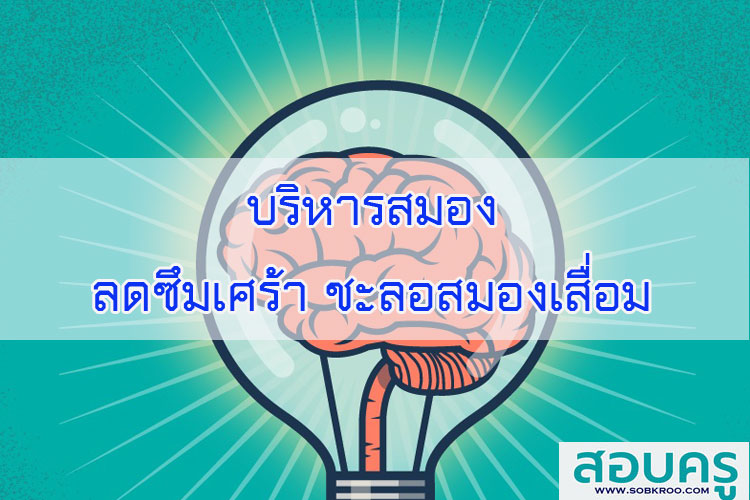 บริหารสมอง''ลดซึมเศร้า ชะลอสมองเสื่อม