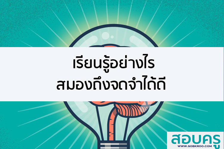 เรียนรู้อย่างไร สมองถึงจดจำได้ดี