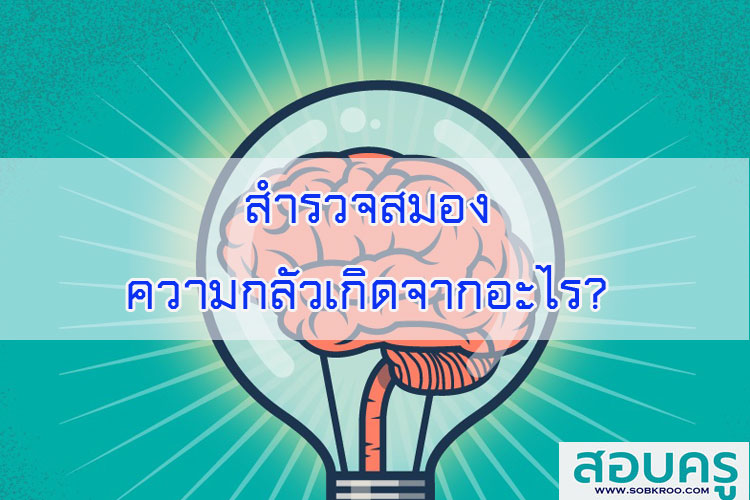 สำรวจสมองความกลัวเกิดจากอะไร